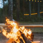 pexels-anastasia-shuraeva-4993953