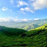 pexels-dulcei-john-1146417881-21011516 (1)